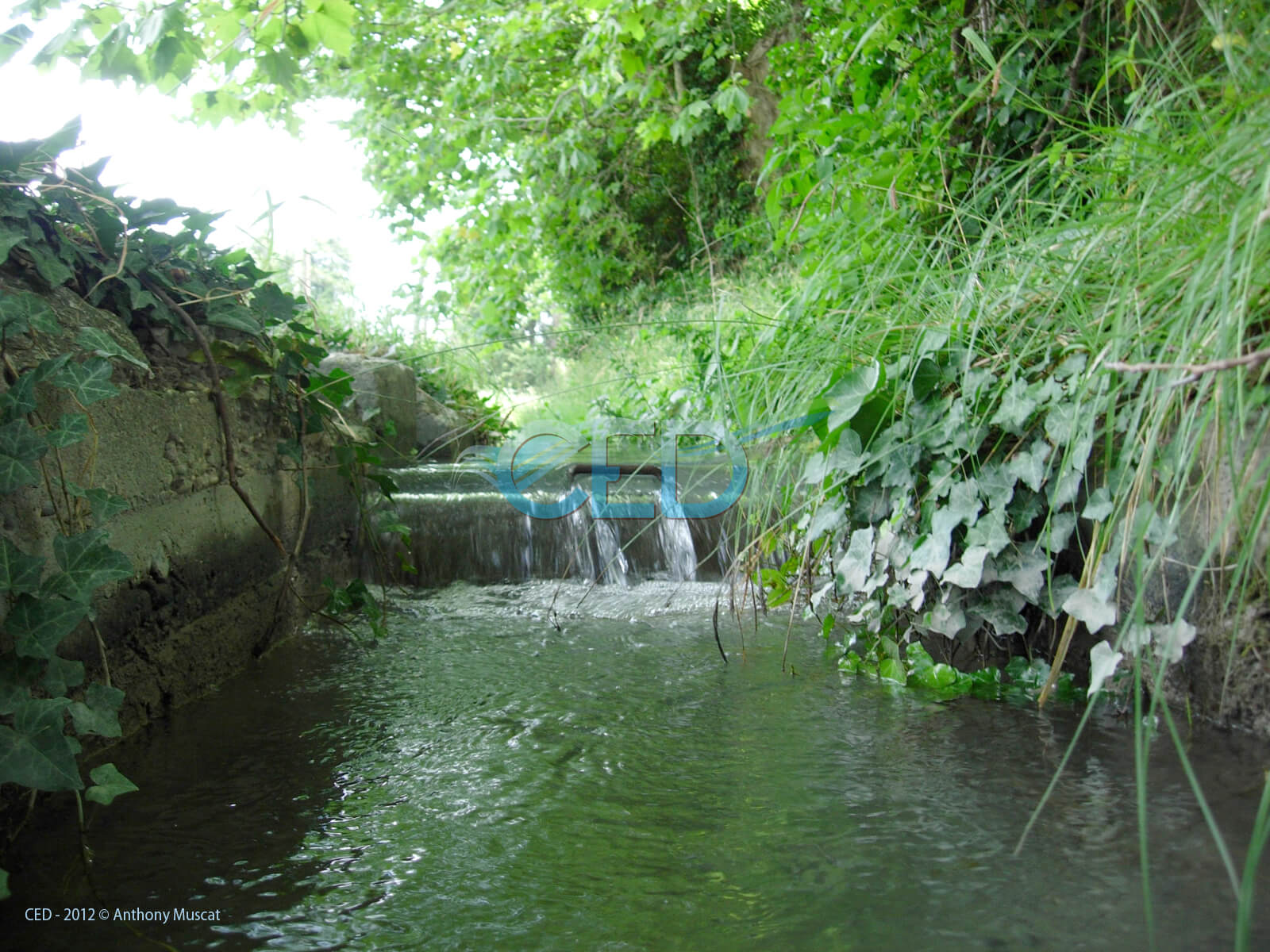 Ced Transport de l'eau 003