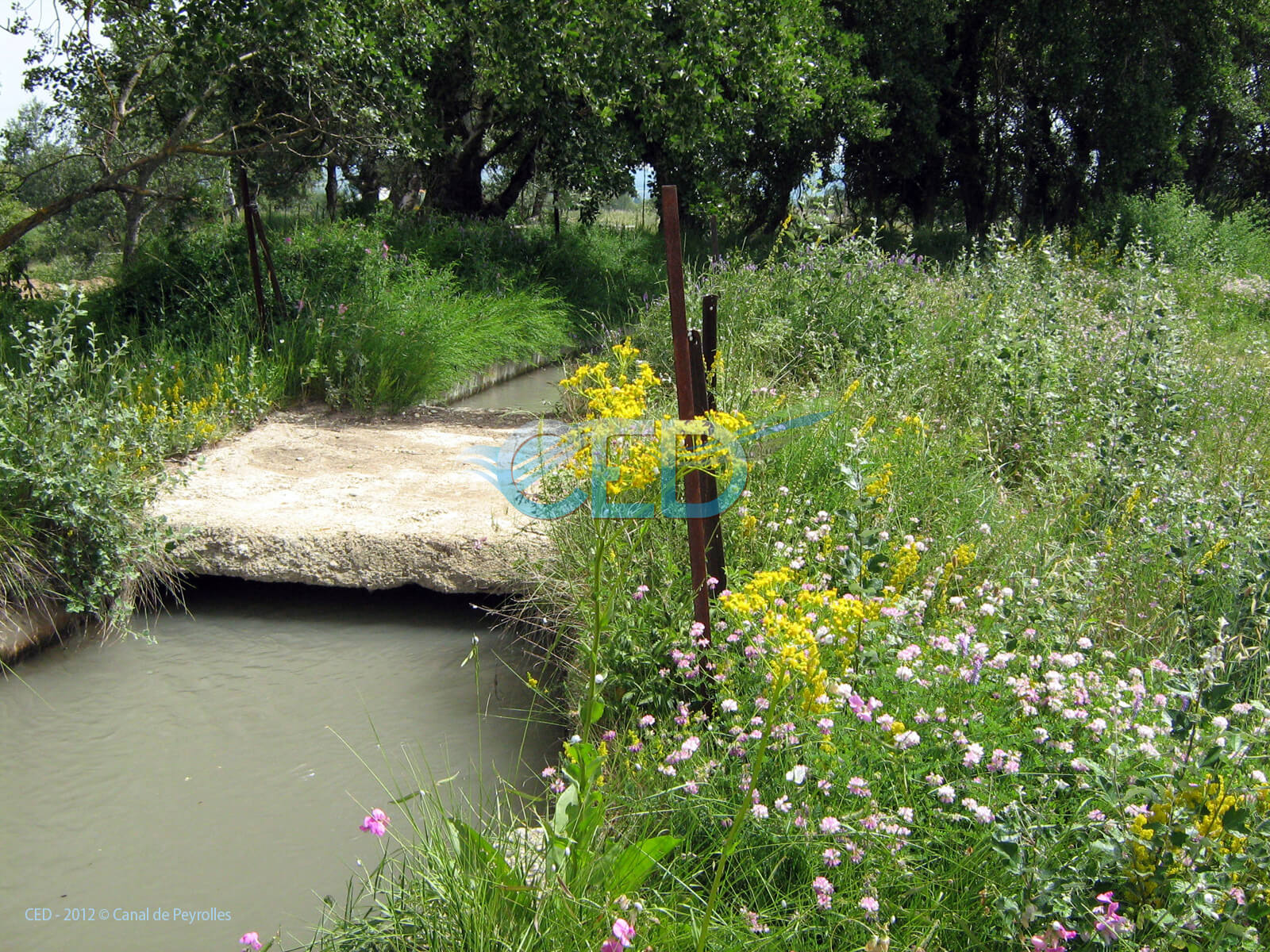 Ced Transport de l'eau 006