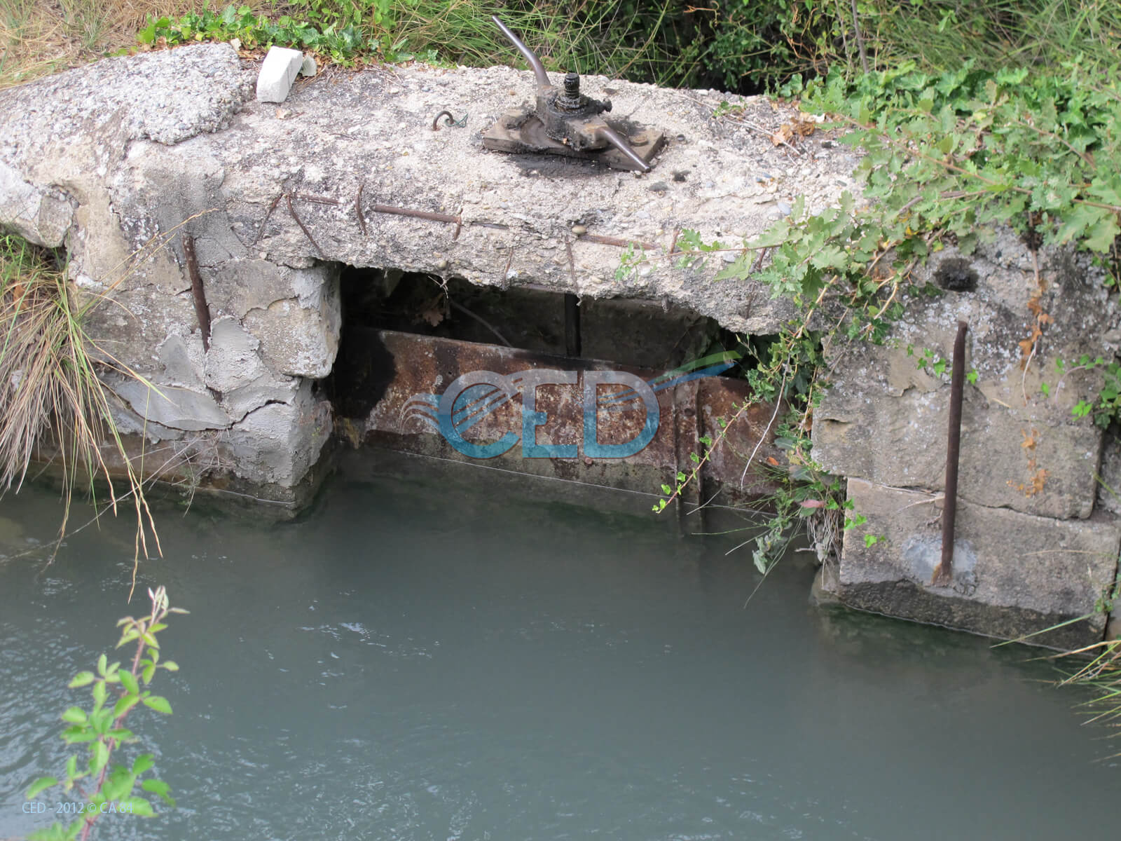 Ced Transport de l'eau 019