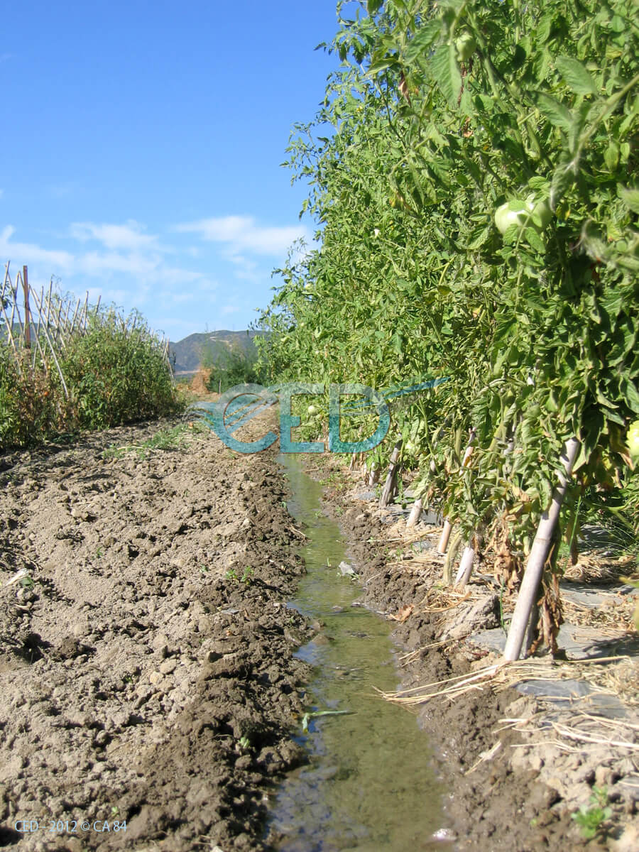 Ced Utilisation de l'eau 002