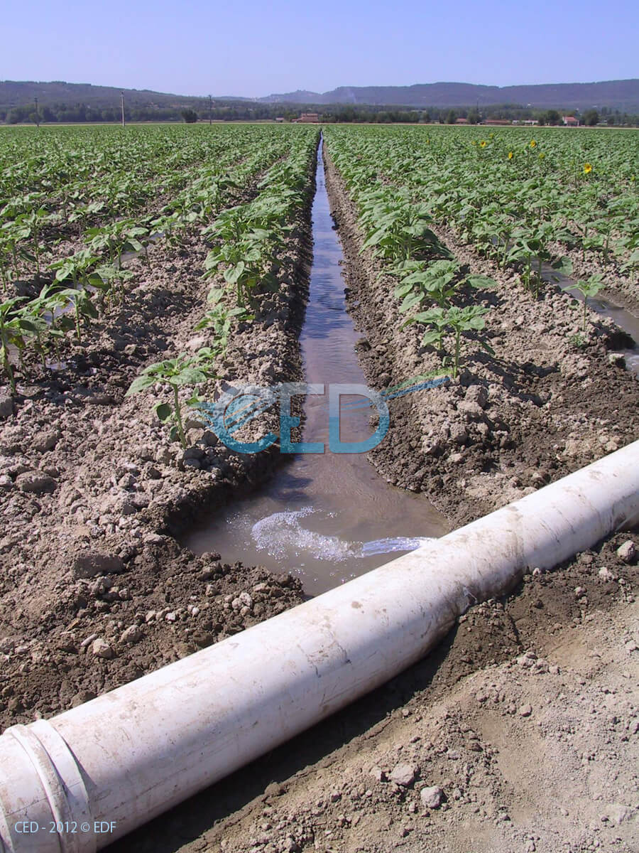 Ced Utilisation de l'eau 005