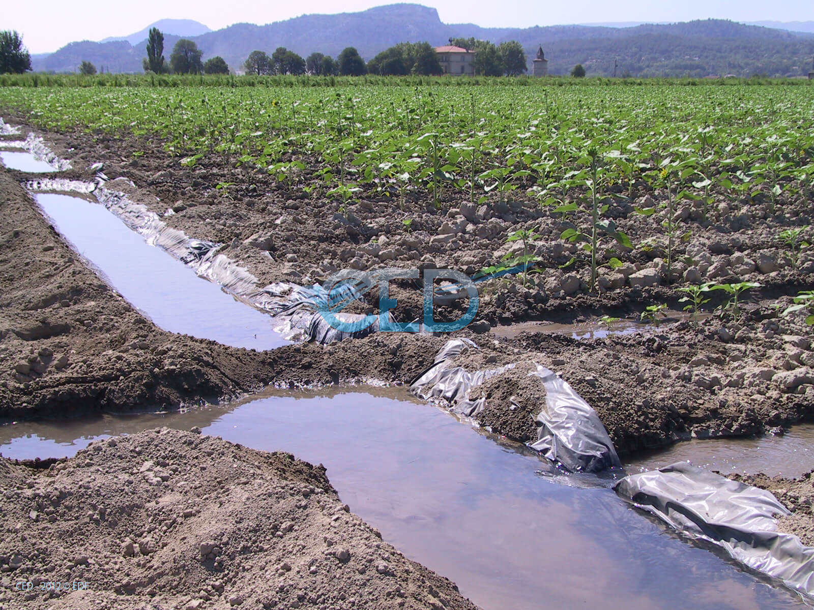 Ced Utilisation de l'eau 006